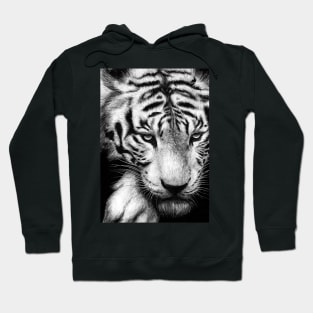 White Tiger Hoodie